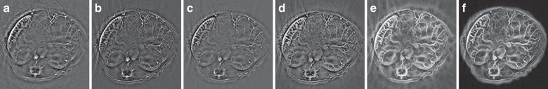 Fig. 5