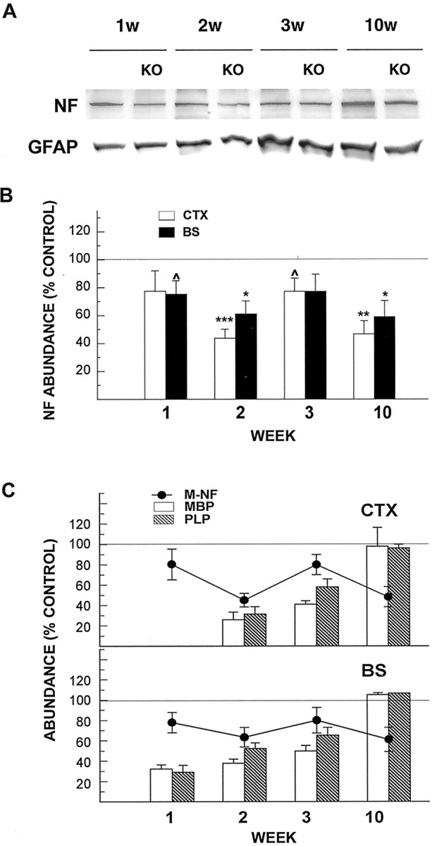 Fig. 8.