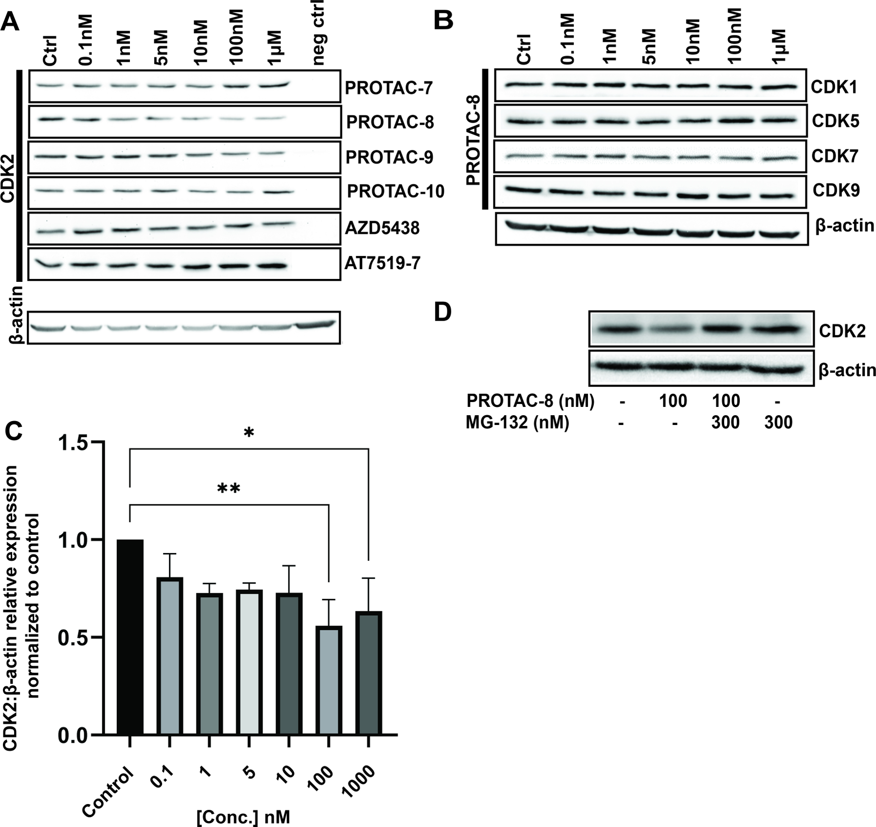 Figure 2: