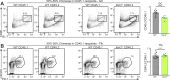 Figure 4—figure supplement 2.