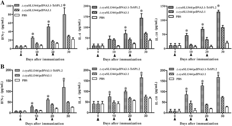 Figure 4