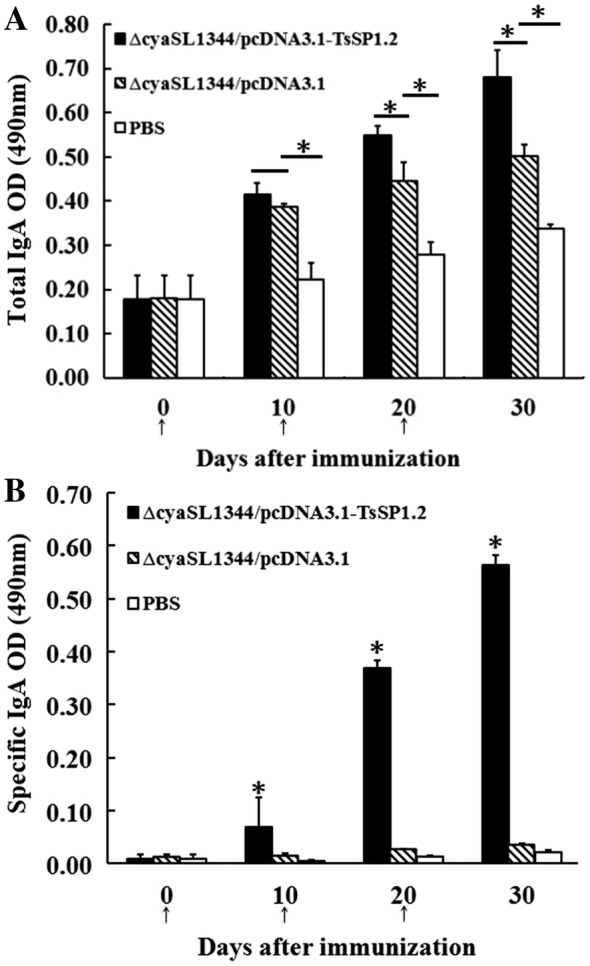 Figure 5