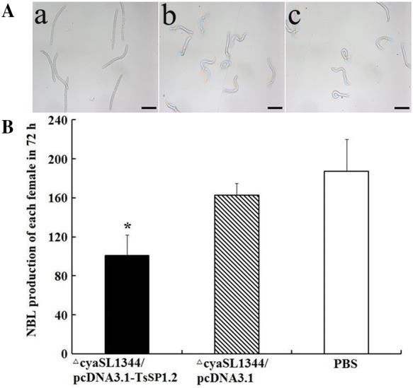 Figure 10