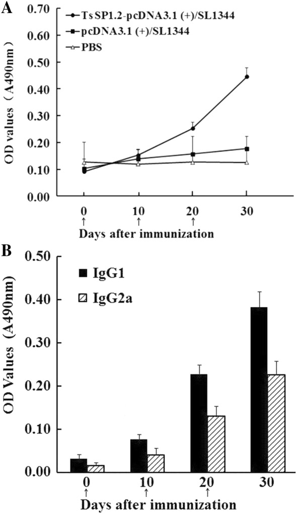 Figure 3