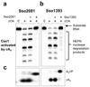 Extended Data Figure 9