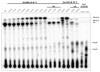 Extended Data Figure 4