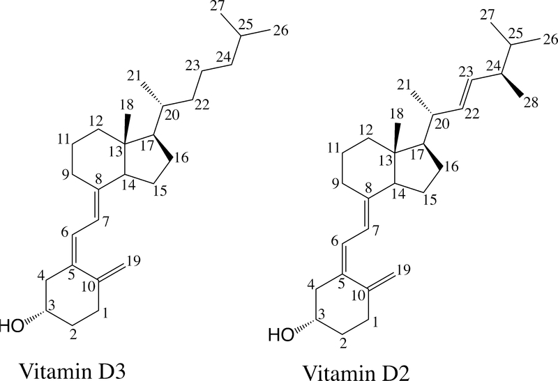 Fig 1.