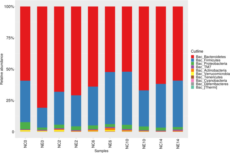 Figure 5