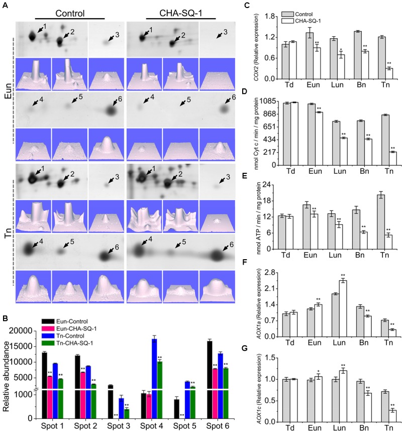 FIGURE 3