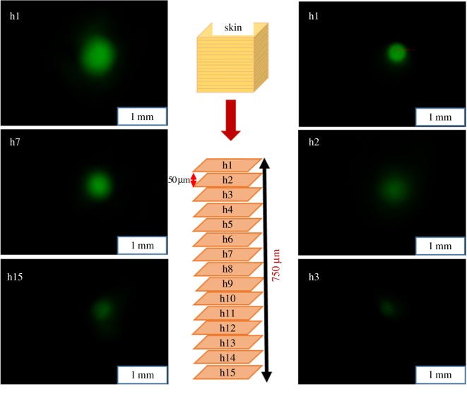 Figure 6.