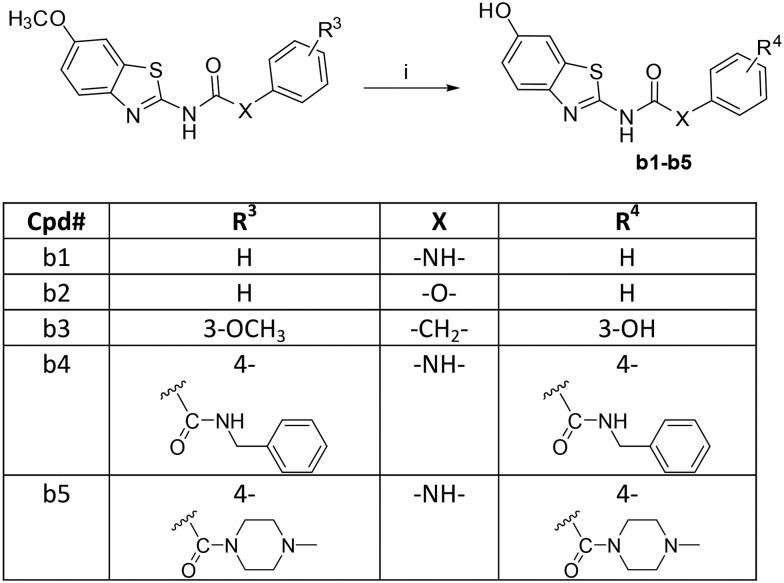 Scheme 5