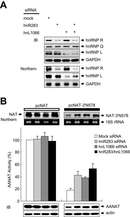 FIG. 5.