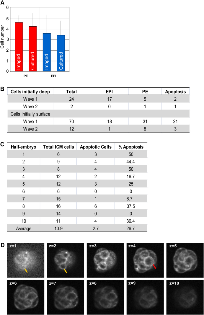 Figure S1