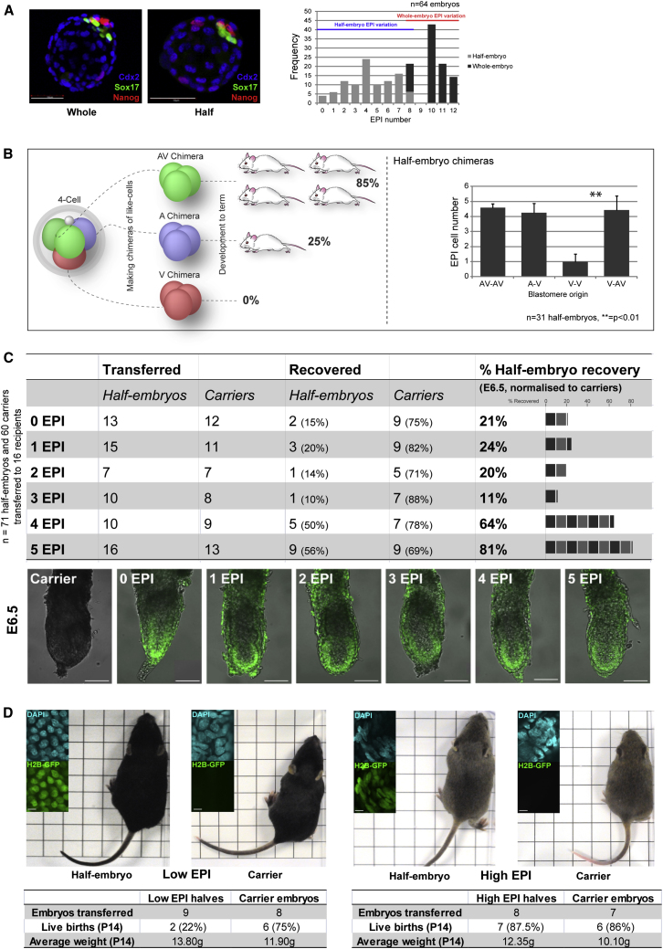 Figure 2