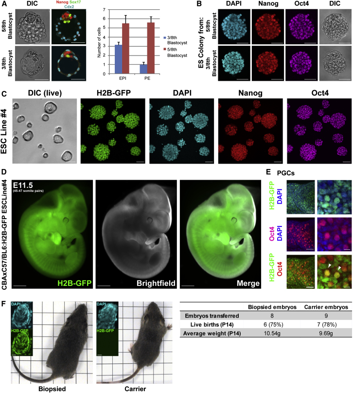 Figure 4