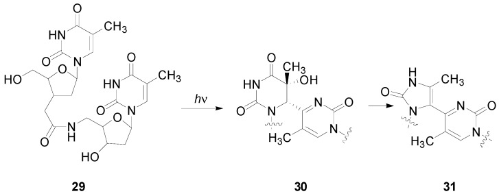 Scheme 38