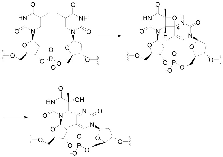 Scheme 36