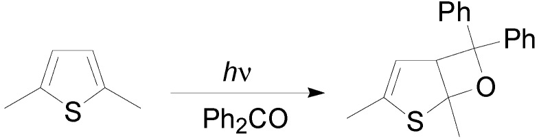 Scheme 22