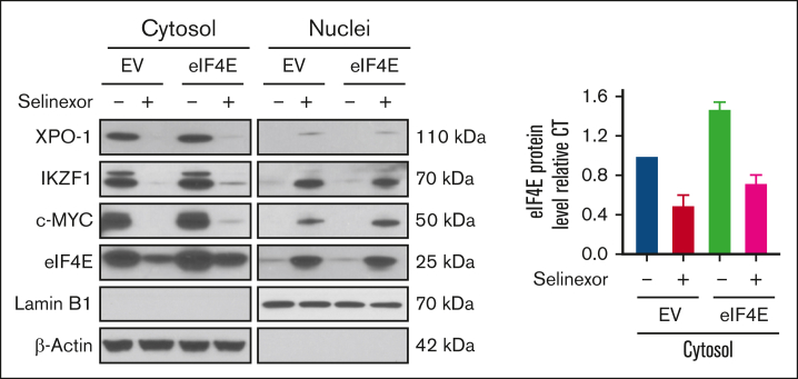 Figure 4.