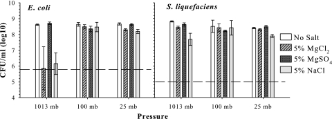 FIG. 5.