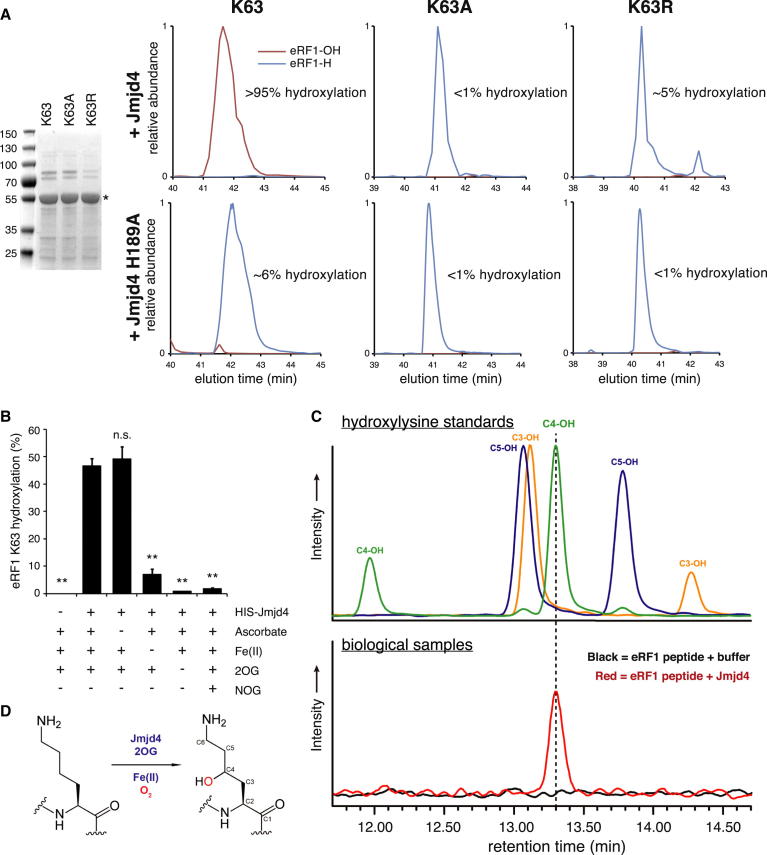 Figure 2