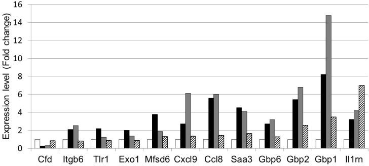 Figure 5