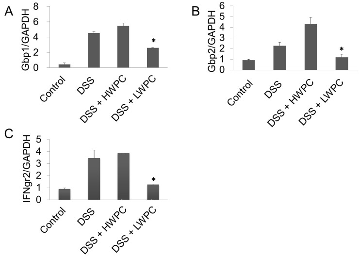 Figure 6