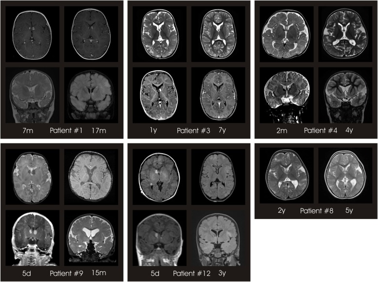 Fig. 4