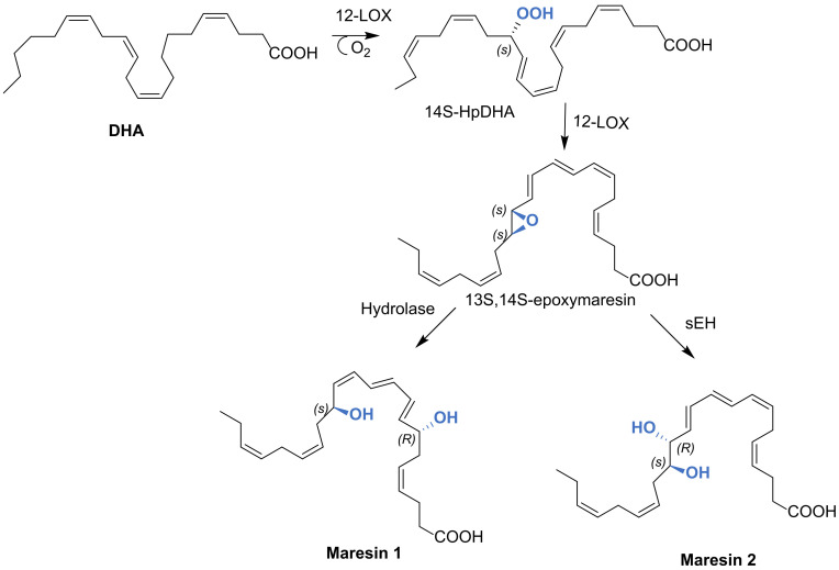 Scheme 31