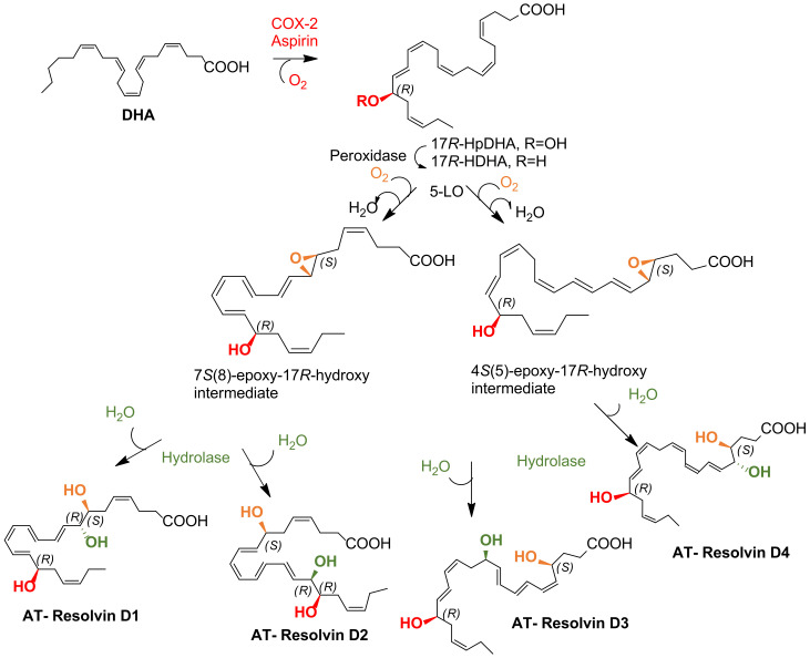 Scheme 3