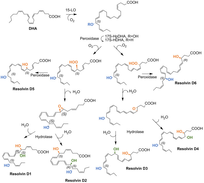 Scheme 2