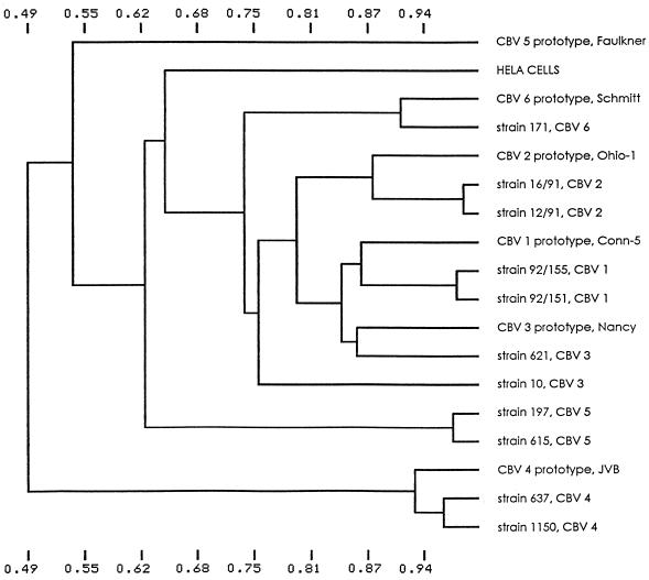 FIG. 1