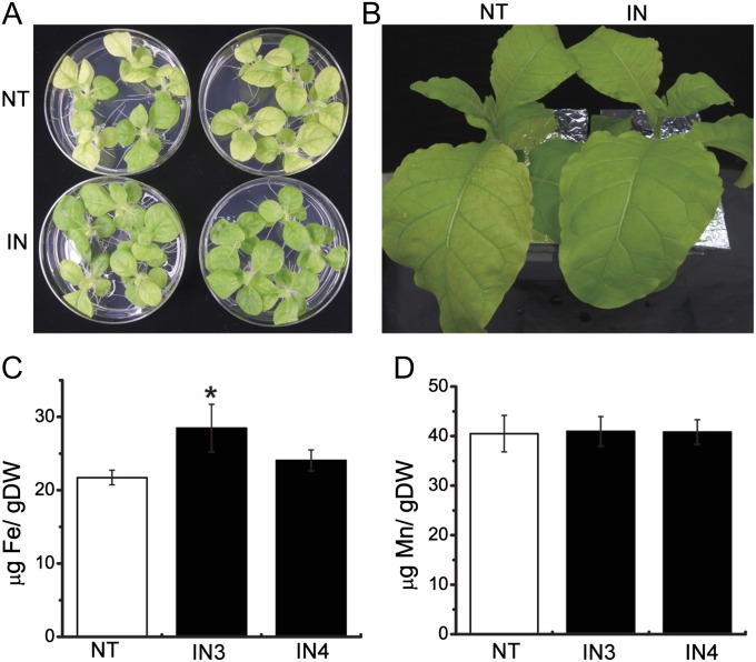 Fig. 6.