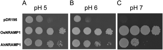 Fig. 3.