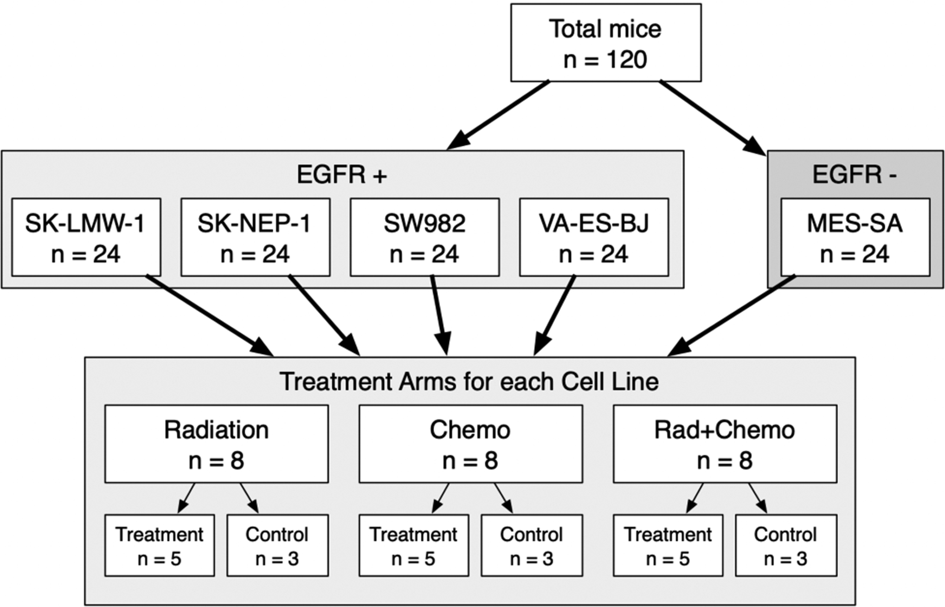 Figure 1 -