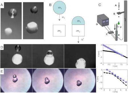 Fig. 3.