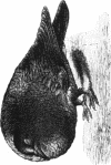 200-1