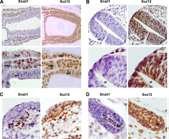 FIG. 8.