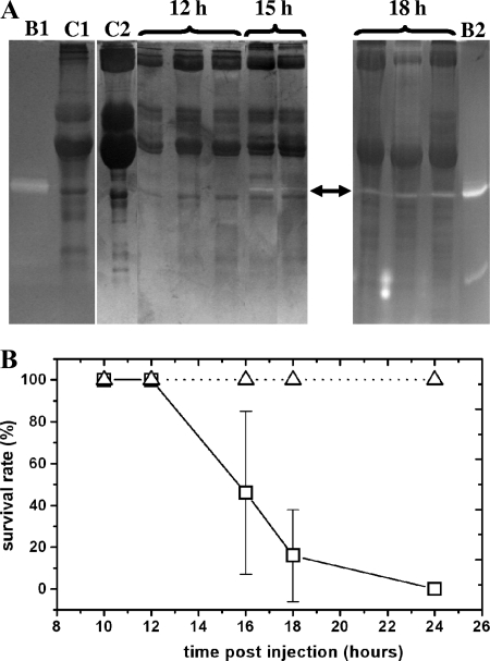 FIG. 3.