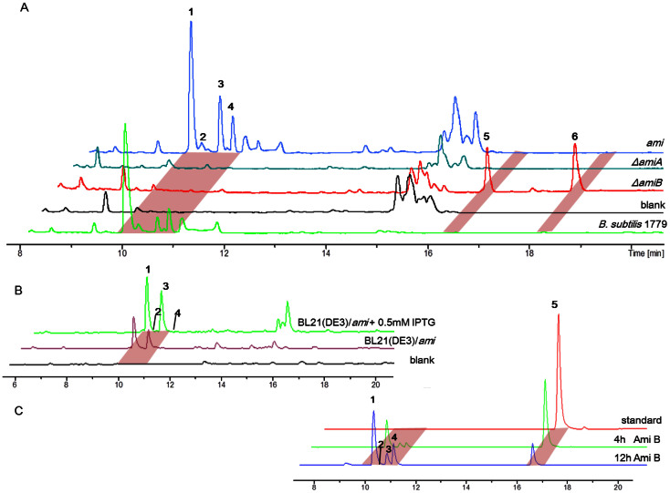 Figure 5