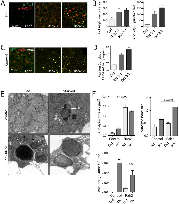 Figure 7—figure supplement 1.