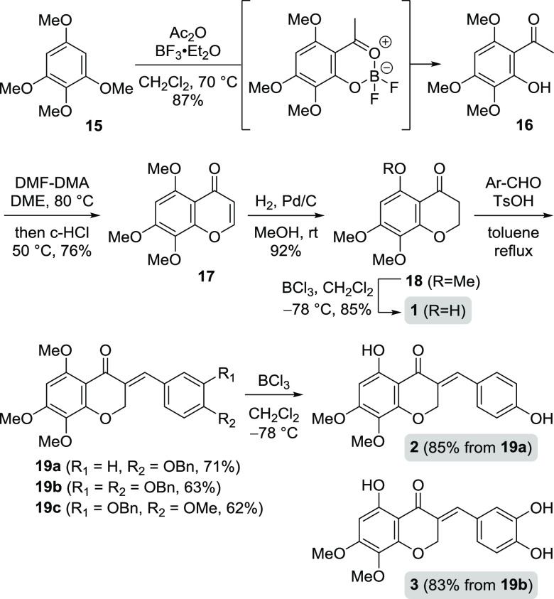 Scheme 2
