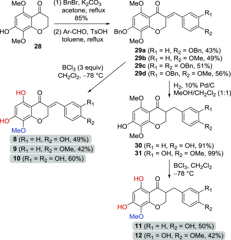 Scheme 5