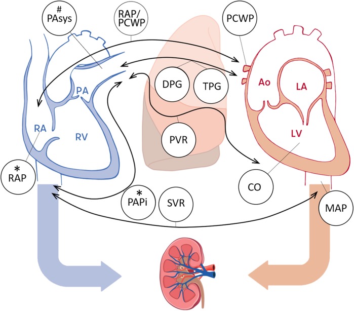 Fig. 2