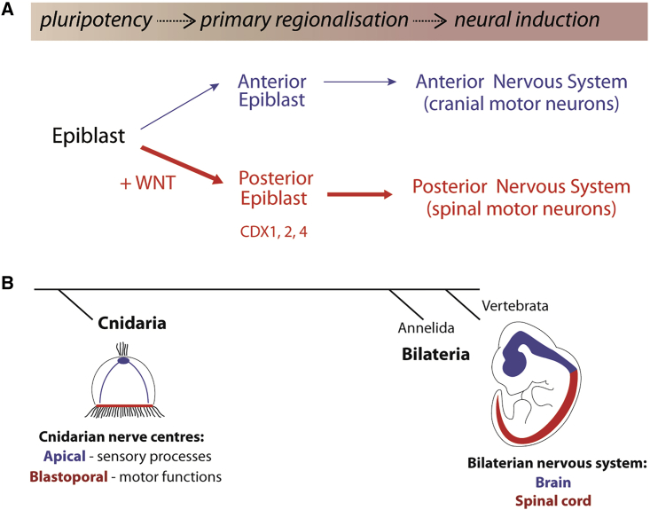 Figure 6