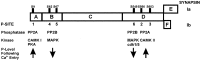 Fig. FS2.