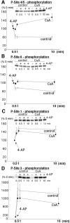 Fig. 5.