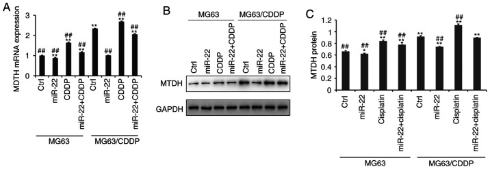 Figure 5.