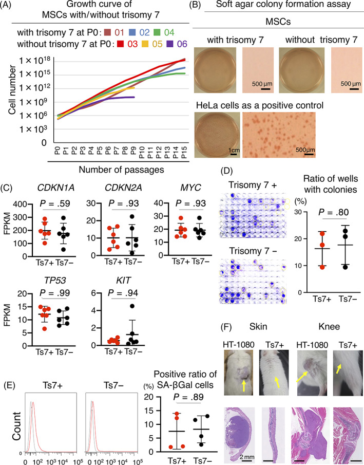 FIGURE 3