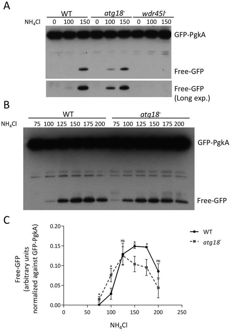 Figure 4.